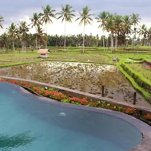 https://vihaan-villa-ubud.ubudhotelsnow.com